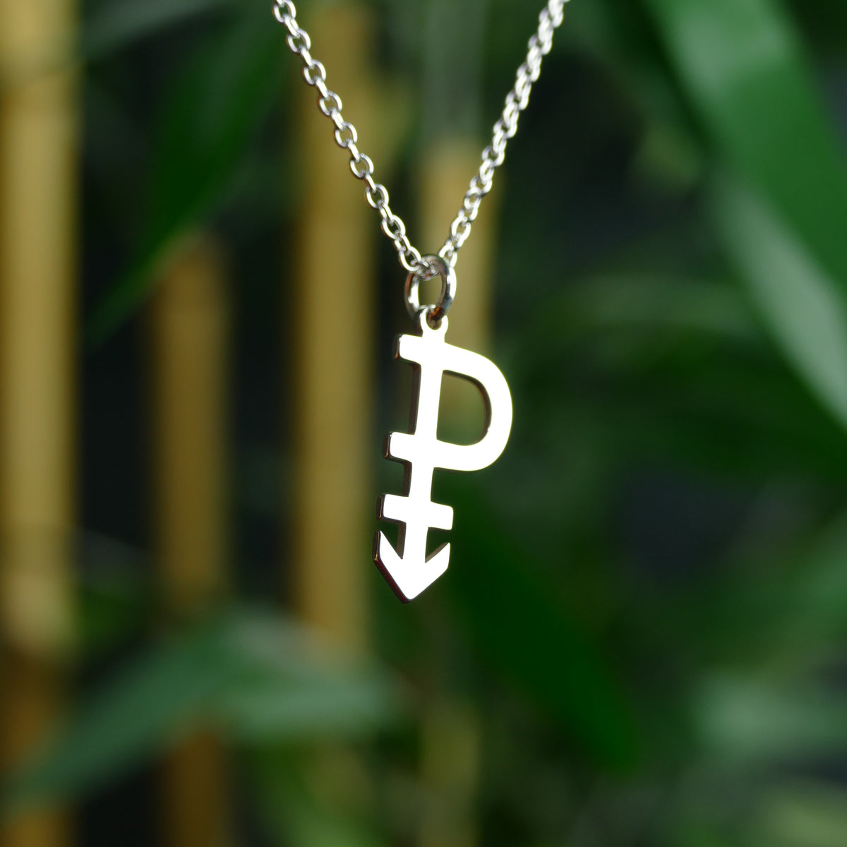 Pansexual Symbol Necklace
