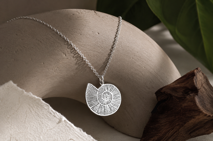 Fossil Necklace – 925 Sterling Silver Ammonite Pendant by Apsley and Heron