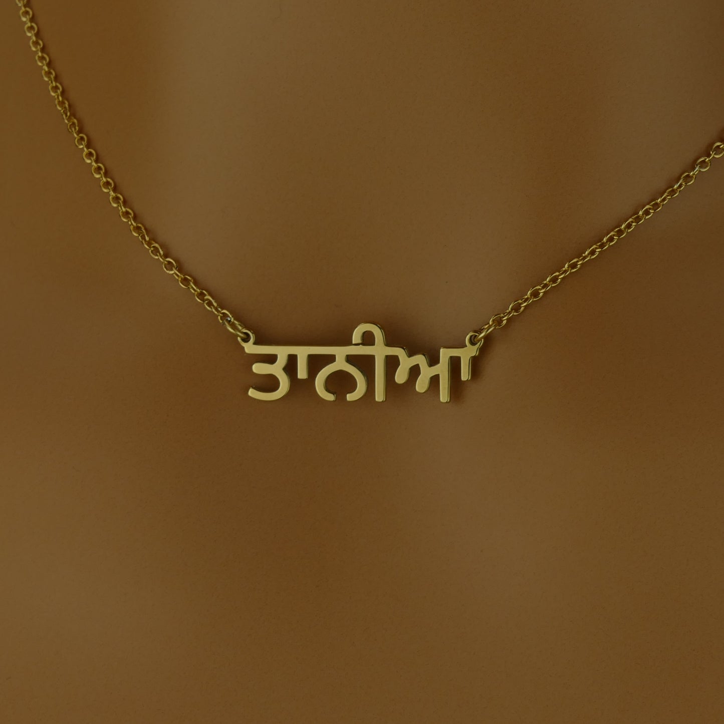 Dainty Punjabi Name Necklace with 18ct Gold Plating